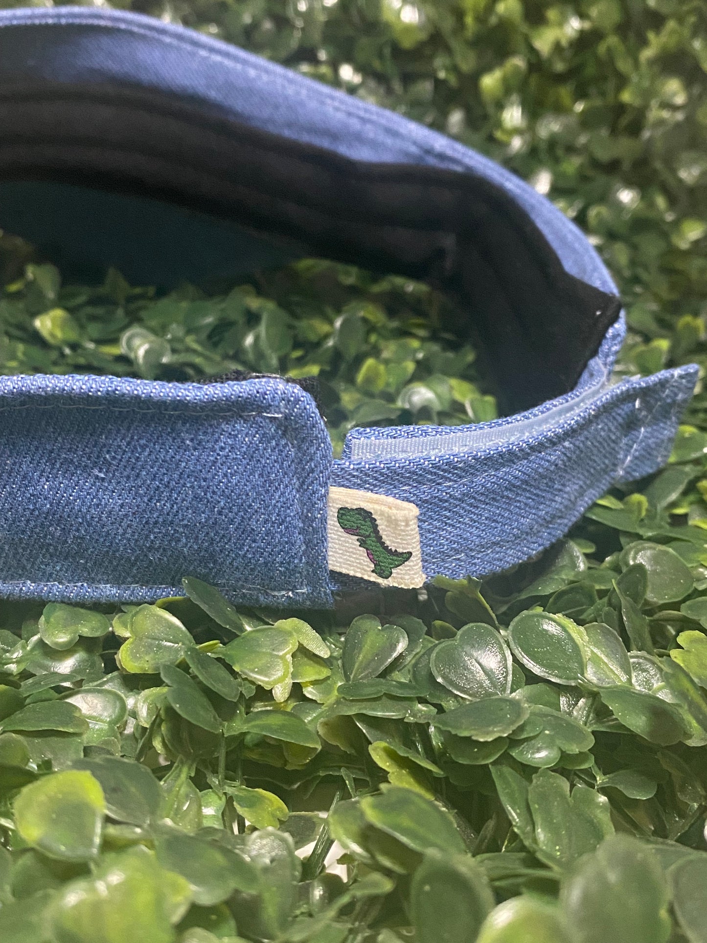 Visera T-Rixy