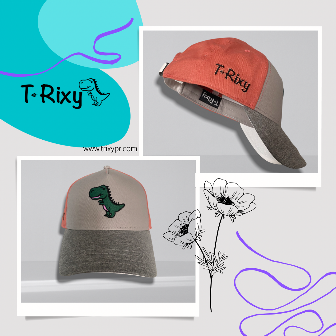 Gorra (Creativity)